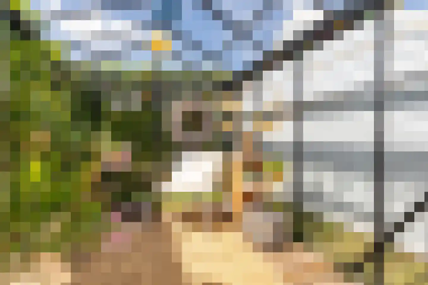 Leije 15 Terherne thumbnail 34