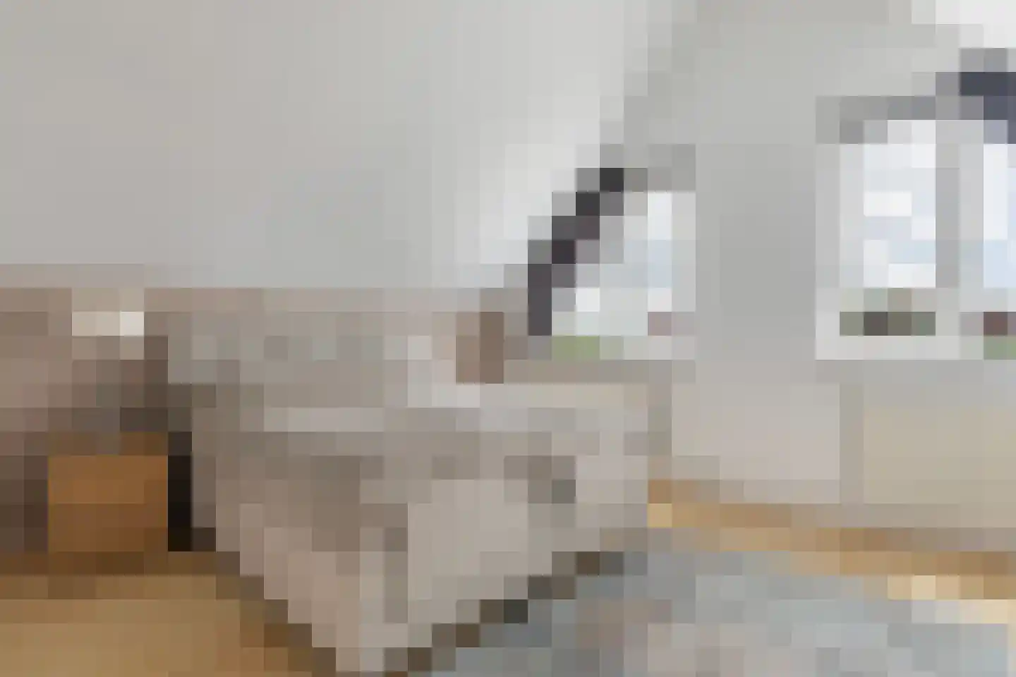 Leije 15 Terherne thumbnail 37