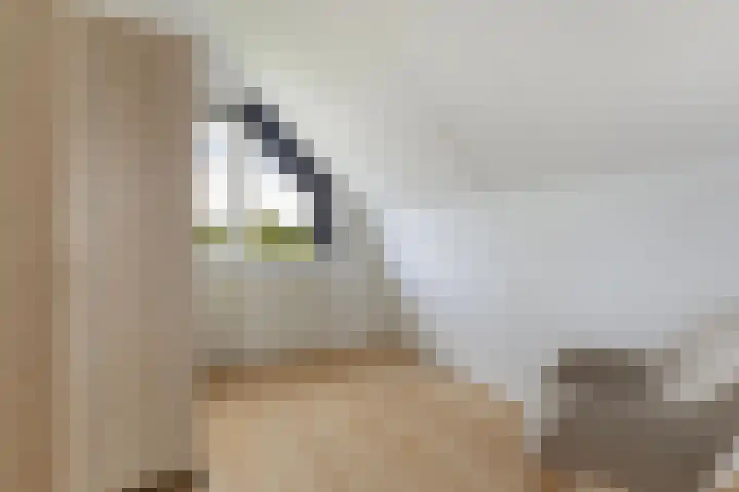 Leije 15 Terherne thumbnail 41