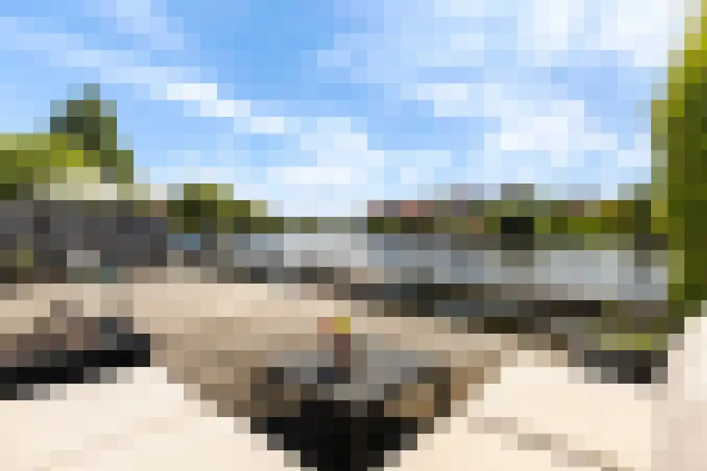 Leije 15 Terherne thumbnail 6