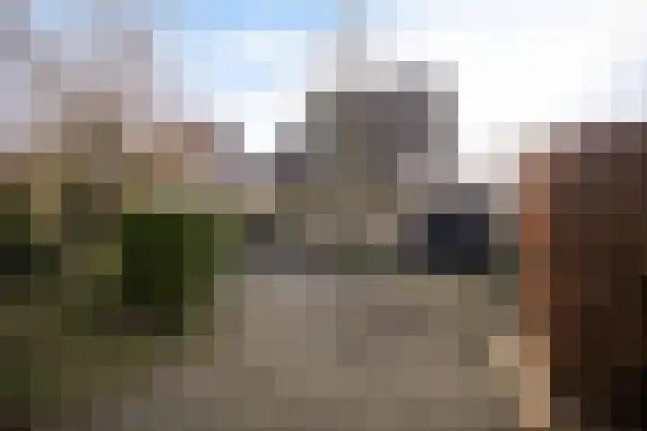 Leije 22 Terherne thumbnail 10