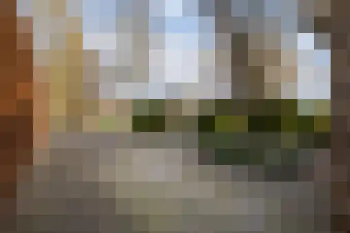 Leije 22 Terherne thumbnail 11