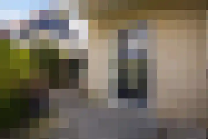 Leije 22 Terherne thumbnail 12