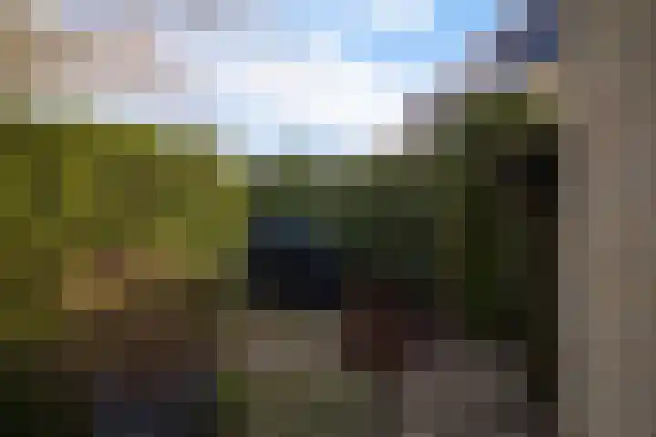 Leije 22 Terherne thumbnail 13