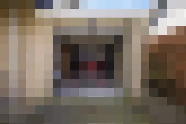 Leije 22 Terherne thumbnail 14