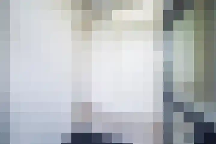 Leije 22 Terherne thumbnail 17