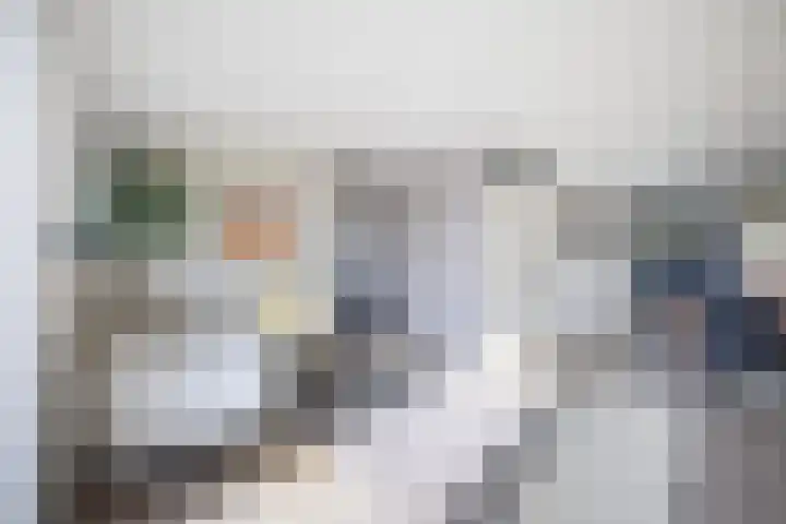 Leije 22 Terherne thumbnail 22