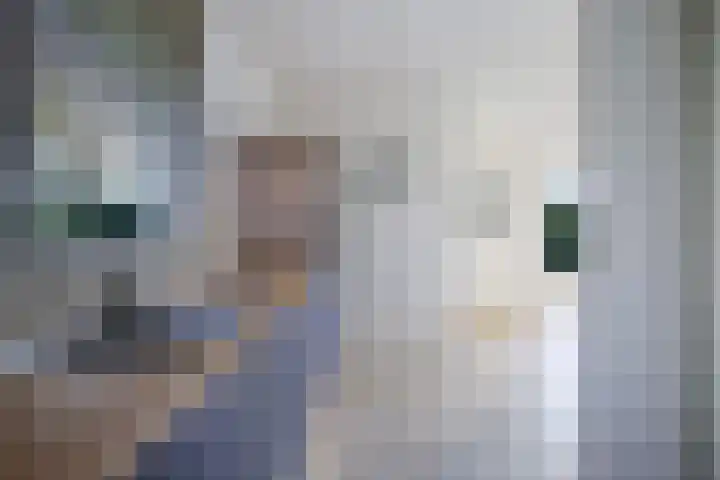 Leije 22 Terherne thumbnail 24