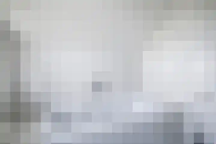 Leije 22 Terherne thumbnail 31