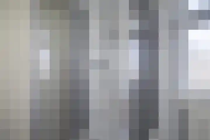 Leije 22 Terherne thumbnail 32