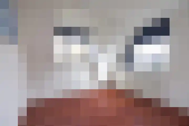 Leije 22 Terherne thumbnail 33
