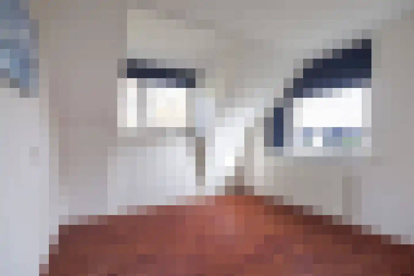 Leije 22 Terherne thumbnail 34