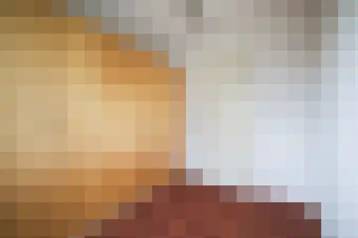 Leije 22 Terherne thumbnail 35