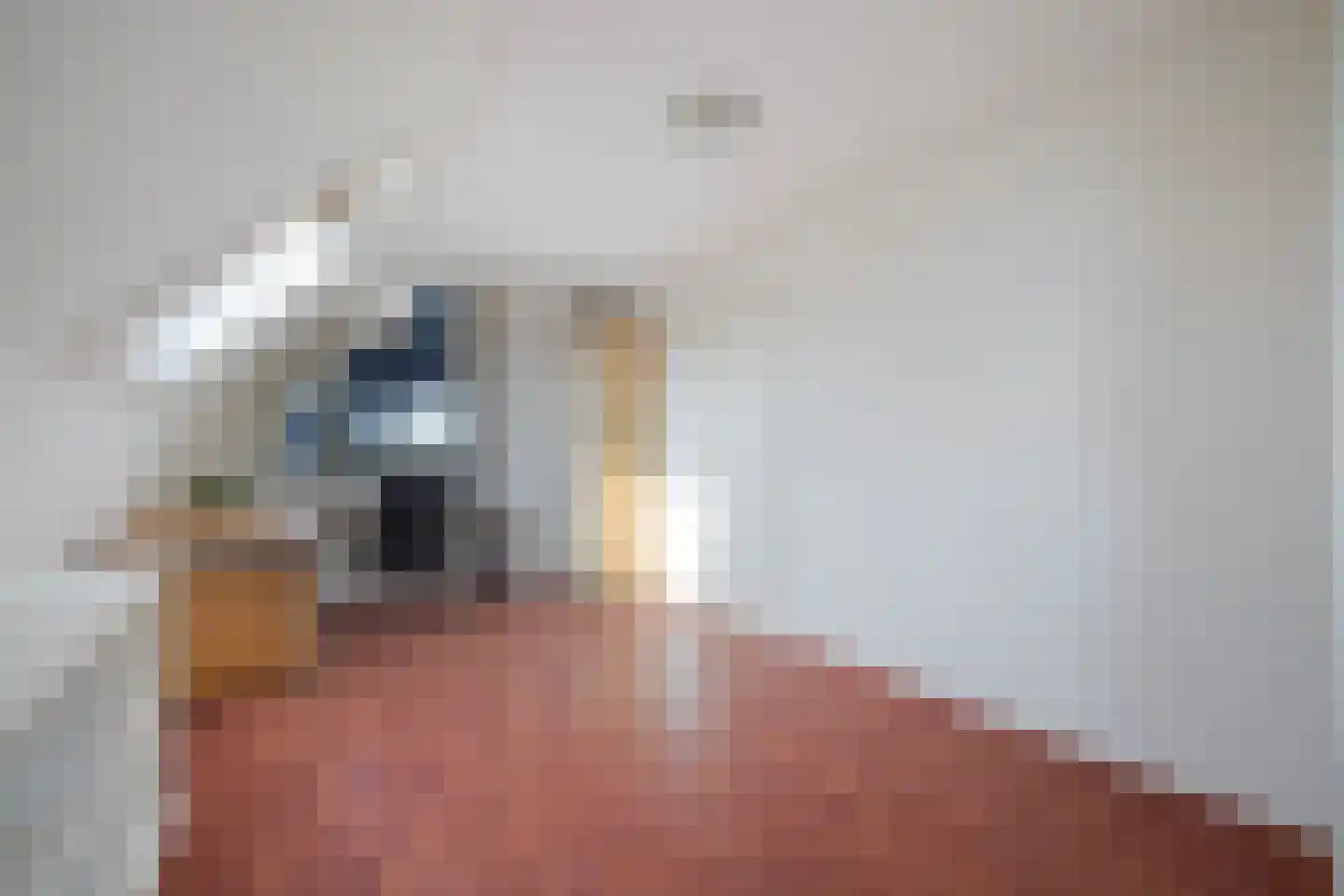Leije 22 Terherne thumbnail 39