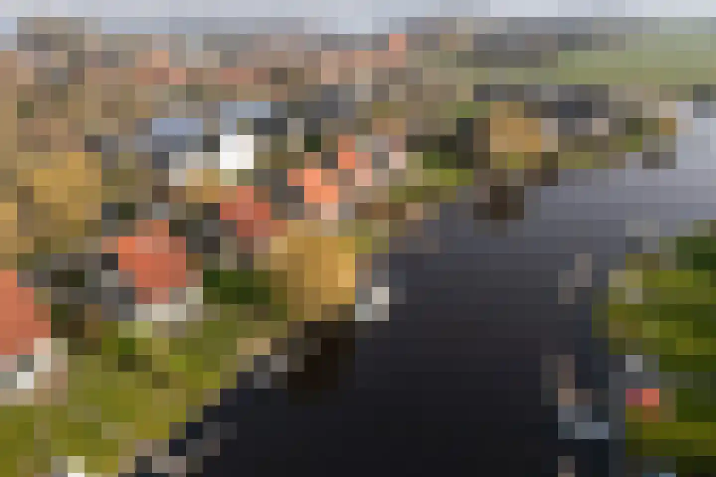 Leije 22 Terherne thumbnail 4