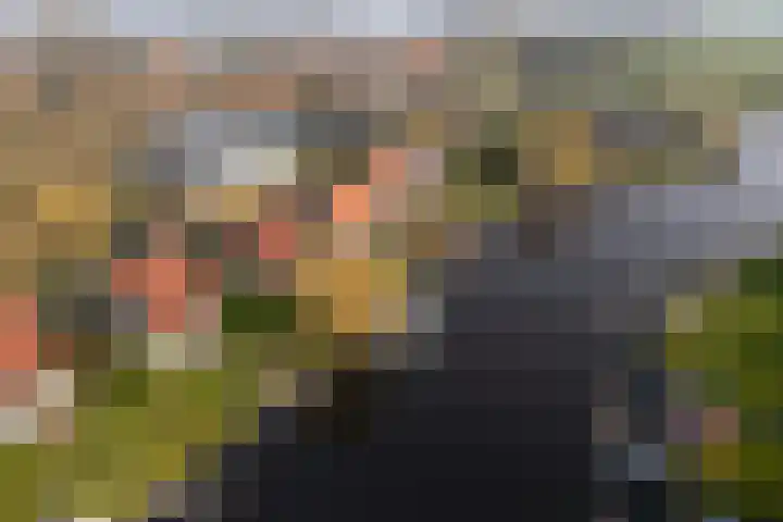 Leije 22 Terherne thumbnail 4