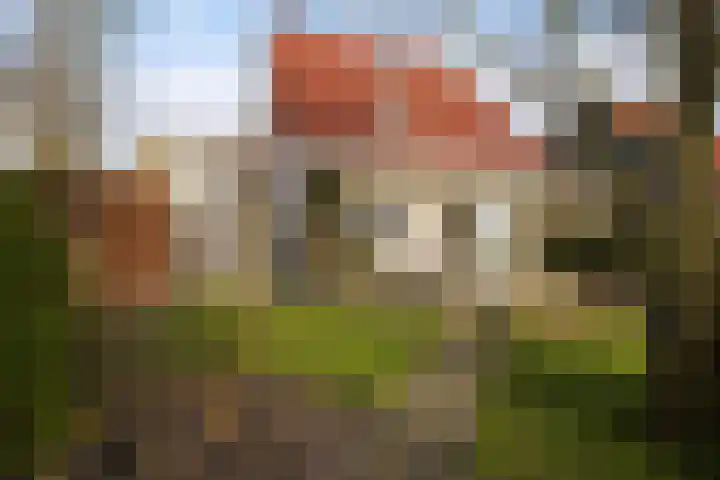 Leije 22 Terherne thumbnail 42