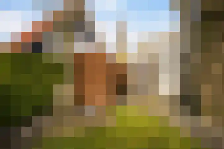 Leije 22 Terherne thumbnail 43