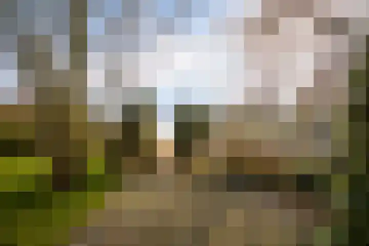 Leije 22 Terherne thumbnail 44