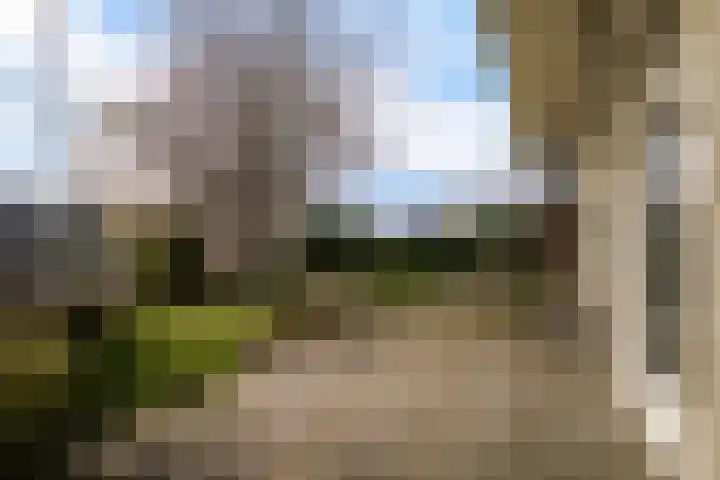 Leije 22 Terherne thumbnail 45