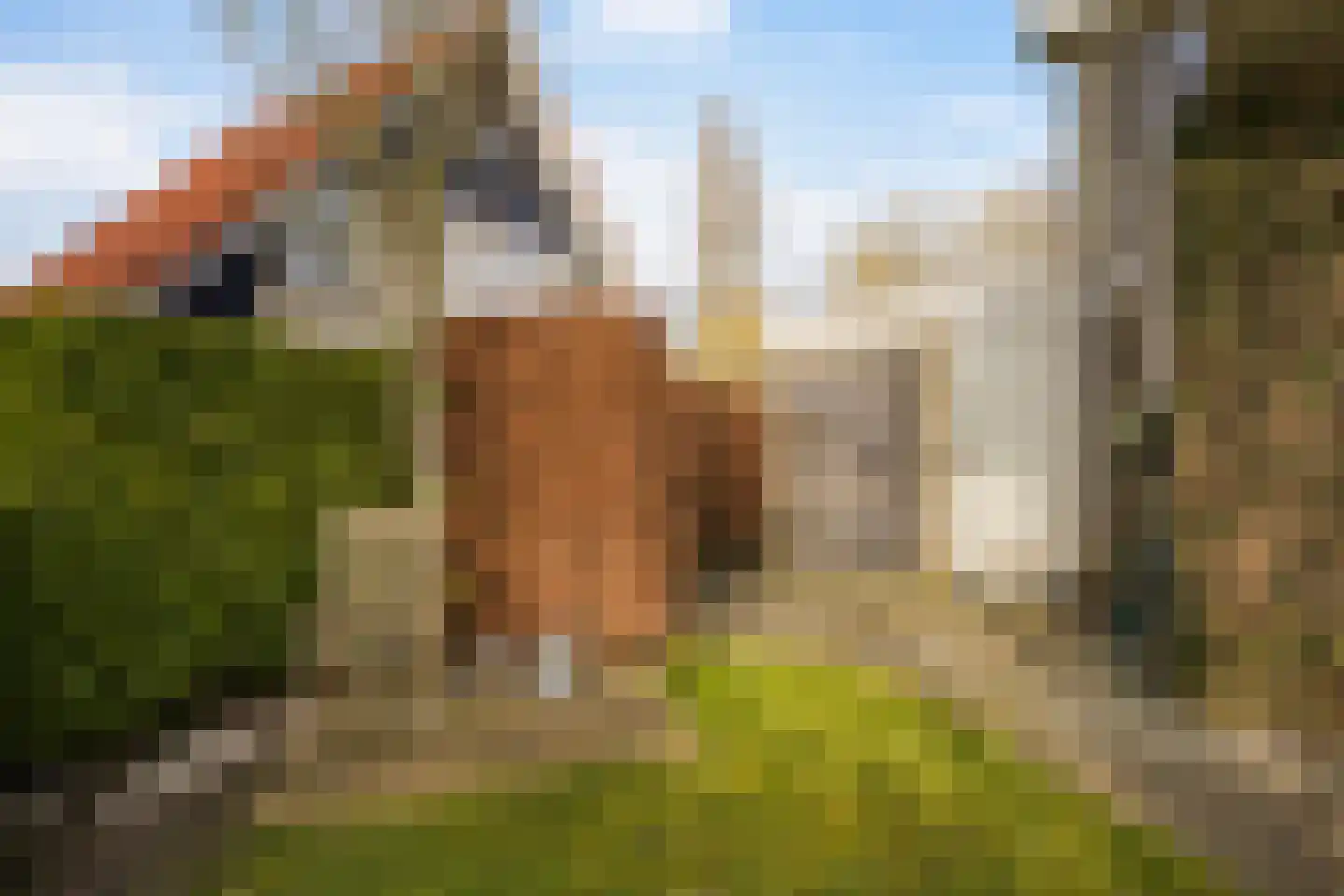 Leije 22 Terherne thumbnail 45