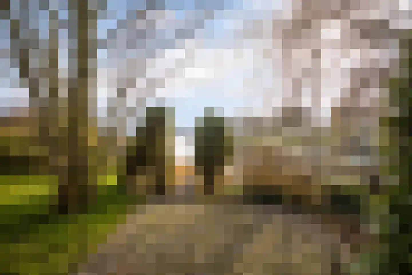 Leije 22 Terherne thumbnail 46