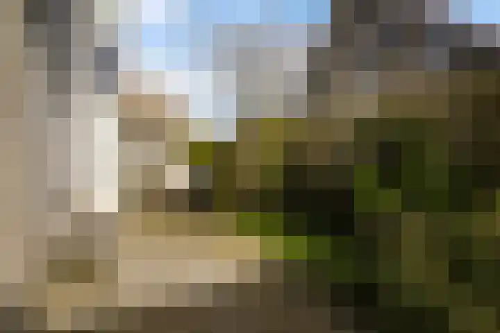 Leije 22 Terherne thumbnail 46