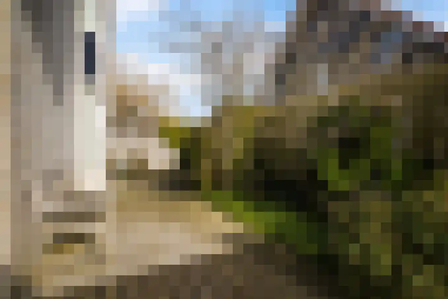 Leije 22 Terherne thumbnail 48