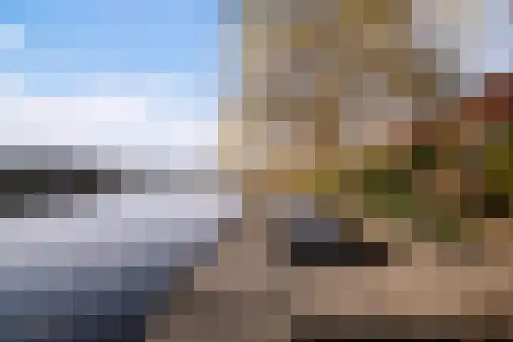Leije 22 Terherne thumbnail 5