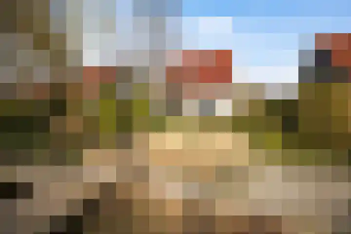 Leije 22 Terherne thumbnail 6