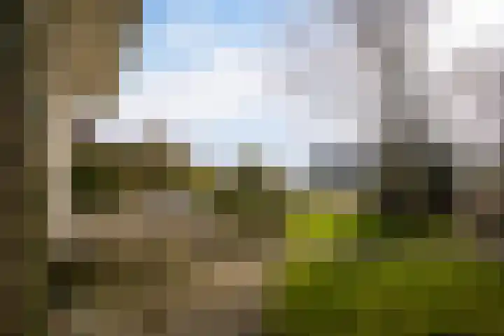 Leije 22 Terherne thumbnail 7