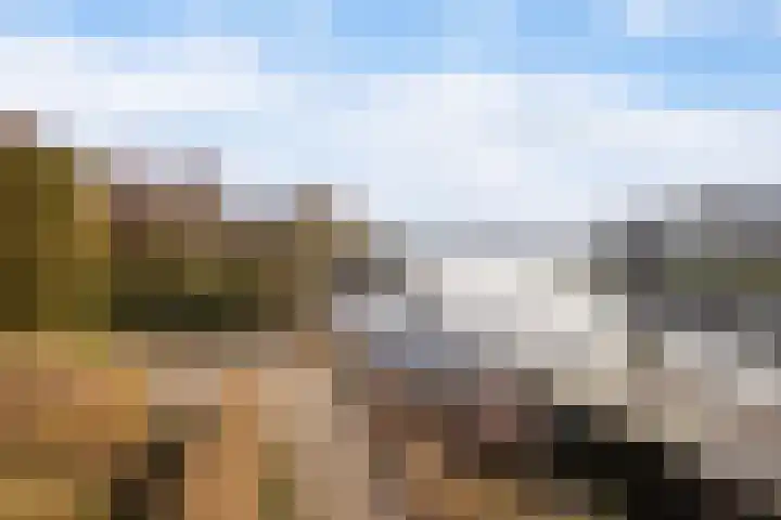 Leije 22 Terherne thumbnail 8