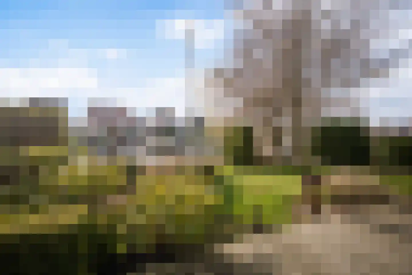 Leije 22 Terherne thumbnail 9