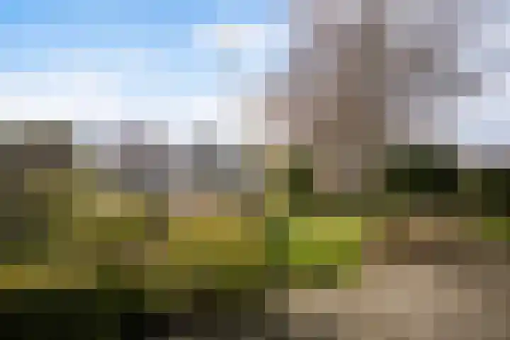Leije 22 Terherne thumbnail 9
