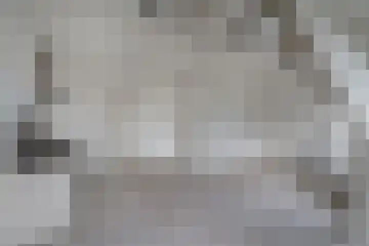 Leijenhof 1 a Hedel thumbnail 10