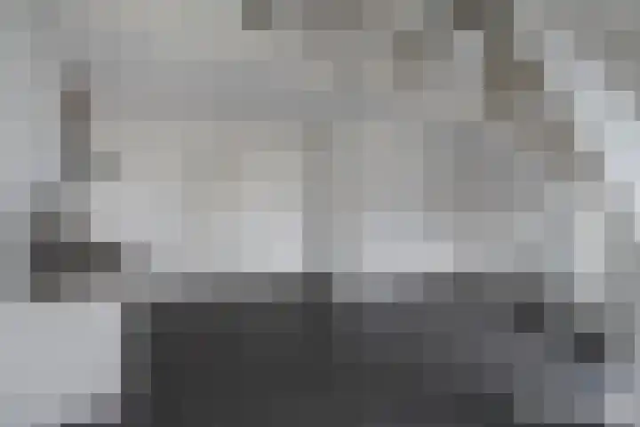 Leijenhof 1 a Hedel thumbnail 11