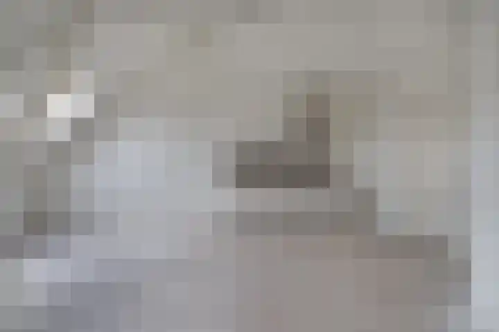 Leijenhof 1 a Hedel thumbnail 12