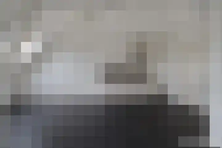 Leijenhof 1 a Hedel thumbnail 13