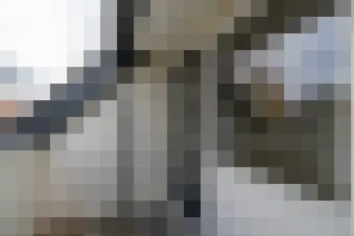 Leijenhof 1 a Hedel thumbnail 26
