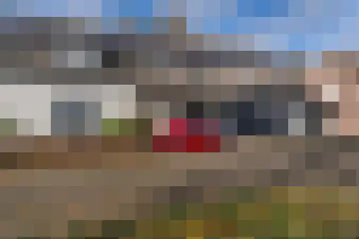 Leijenhof 1 a Hedel thumbnail 28