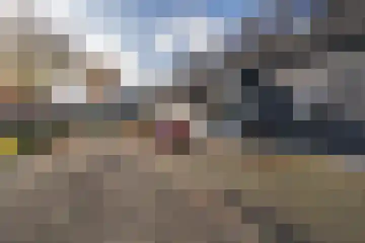 Leijenhof 1 a Hedel thumbnail 29