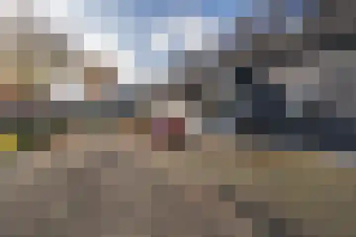 Leijenhof 1 a Hedel thumbnail 4
