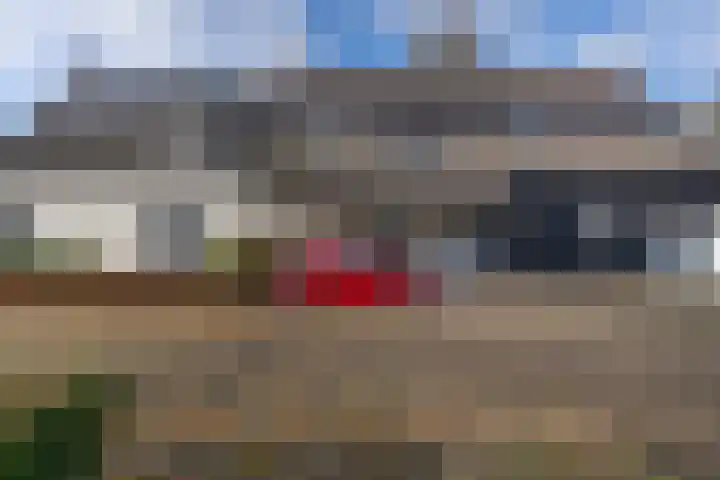 Leijenhof 1 a Hedel thumbnail 6