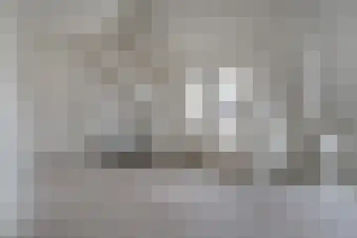 Leijenhof 1 a Hedel thumbnail 9