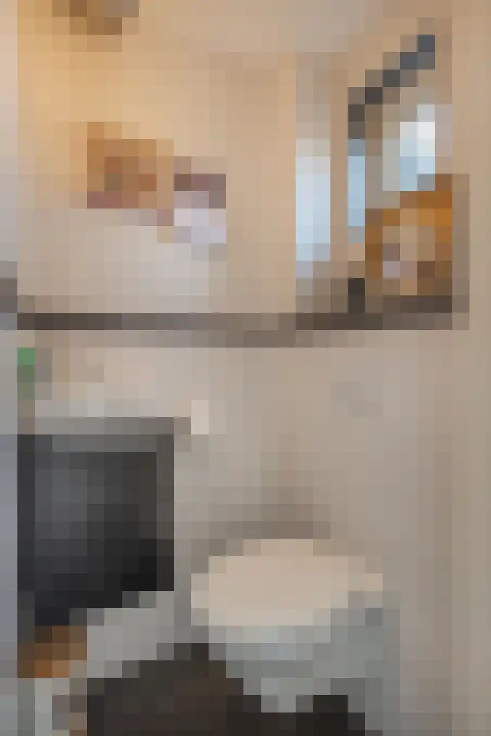 Leijenhof 5 Hedel thumbnail 14