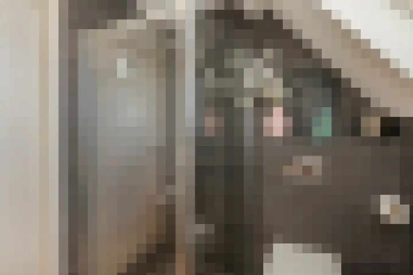 Leijenhof 5 Hedel thumbnail 16