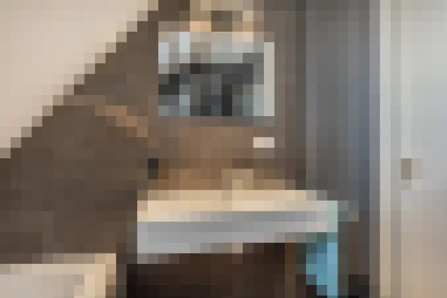Leijenhof 5 Hedel thumbnail 17