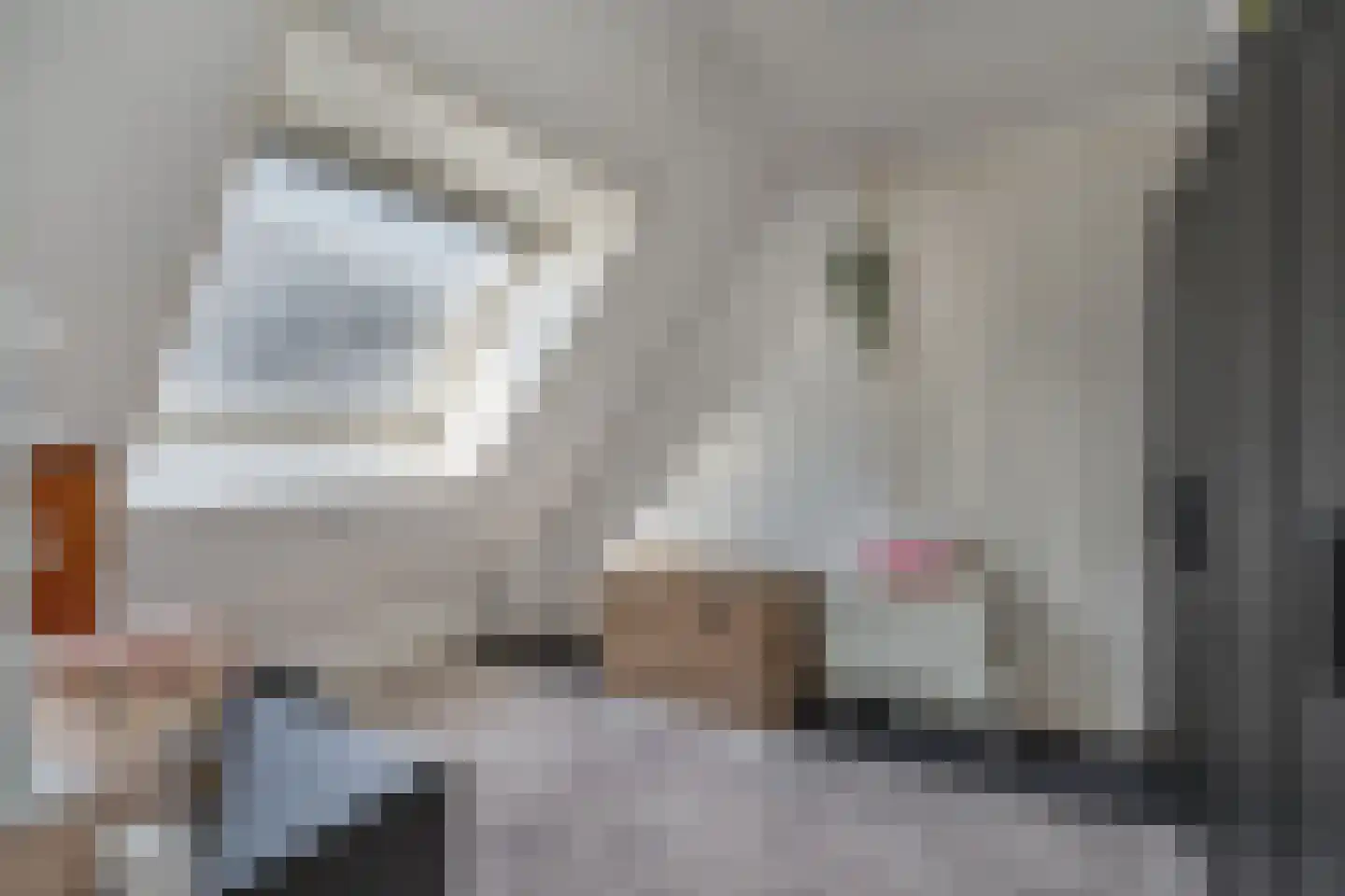 Leijenhof 5 Hedel thumbnail 20