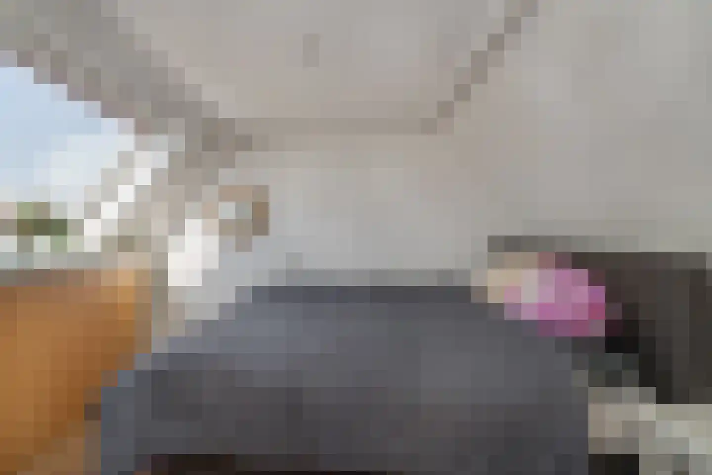 Leijenhof 5 Hedel thumbnail 22