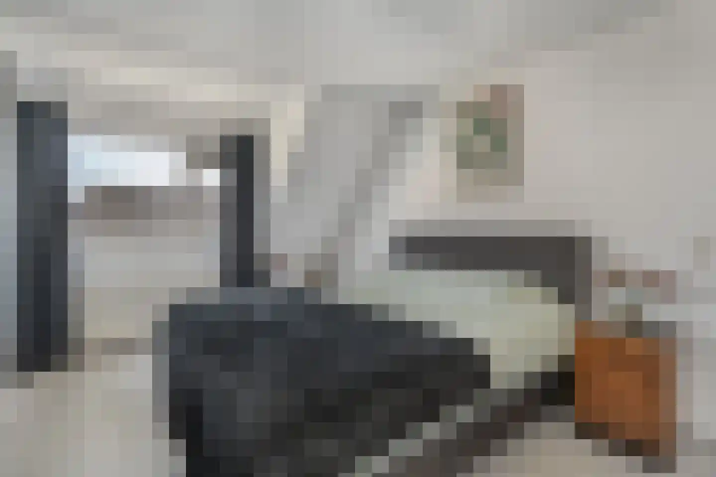 Leijenhof 5 Hedel thumbnail 4